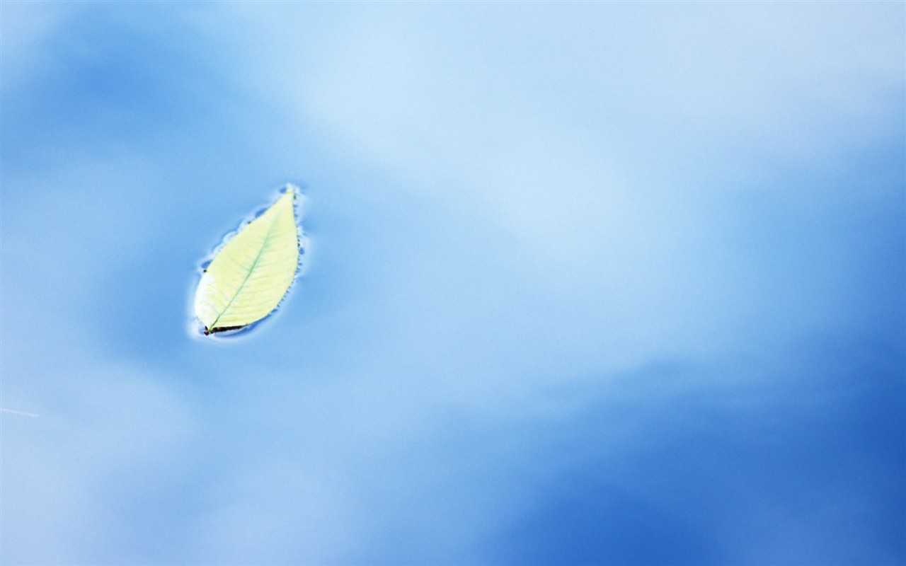 Fresh green leaf wallpaper (1) #19 - 1280x800