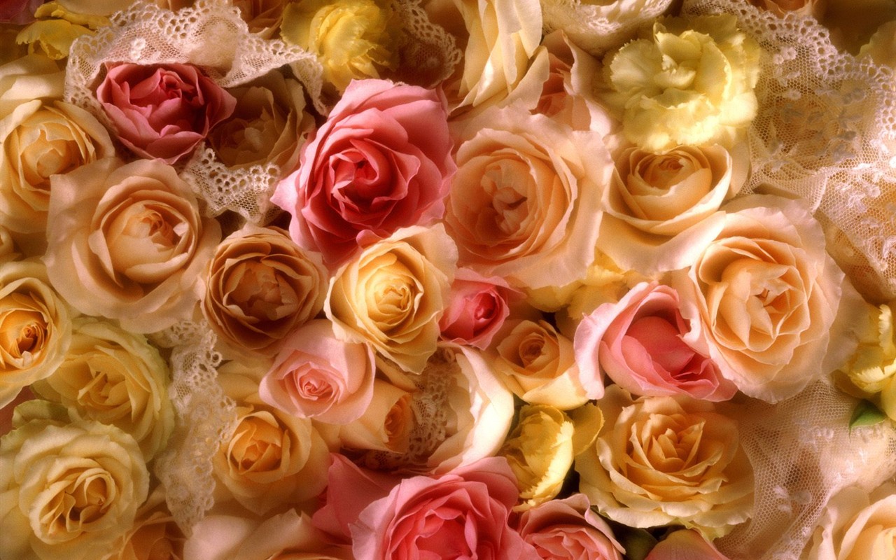 美麗鮮花桌面壁紙(三) #35 - 1280x800