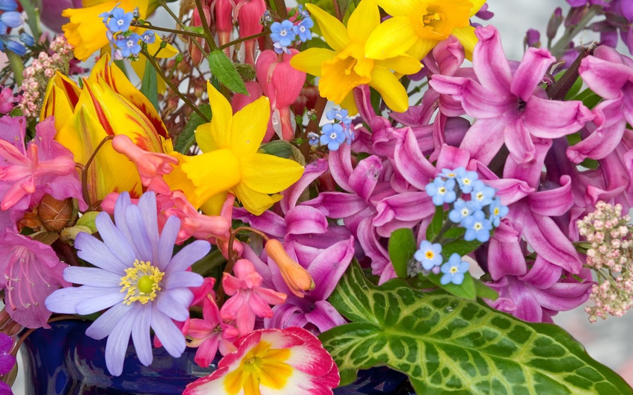 美麗鮮花桌面壁紙(三) #42 - 1280x800