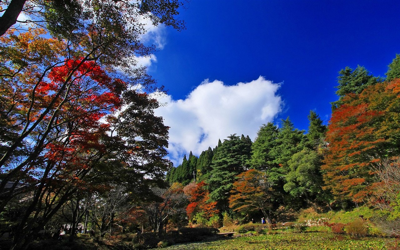 Japan Tour: Rokko Hory listy #10 - 1280x800
