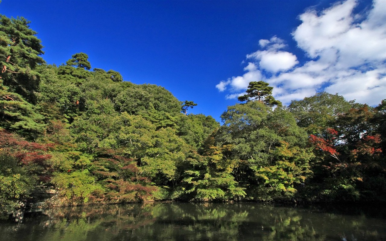 Japan Tour: Montañas Rokko hojas #20 - 1280x800