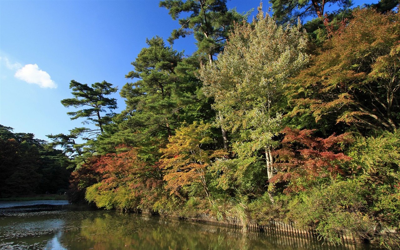 Japan Tour: Montañas Rokko hojas #26 - 1280x800