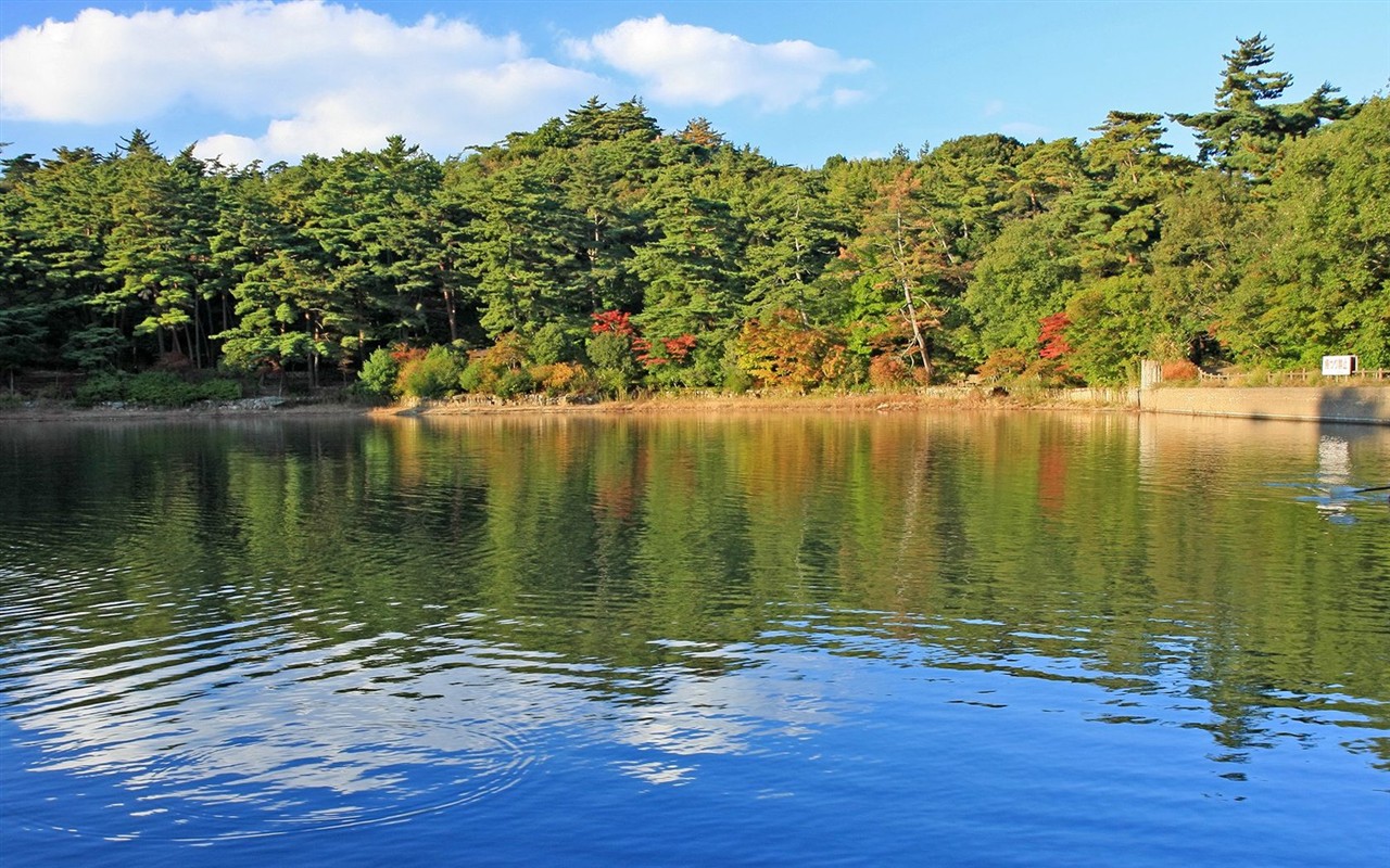 Japan Tour: Rokko Hory listy #30 - 1280x800