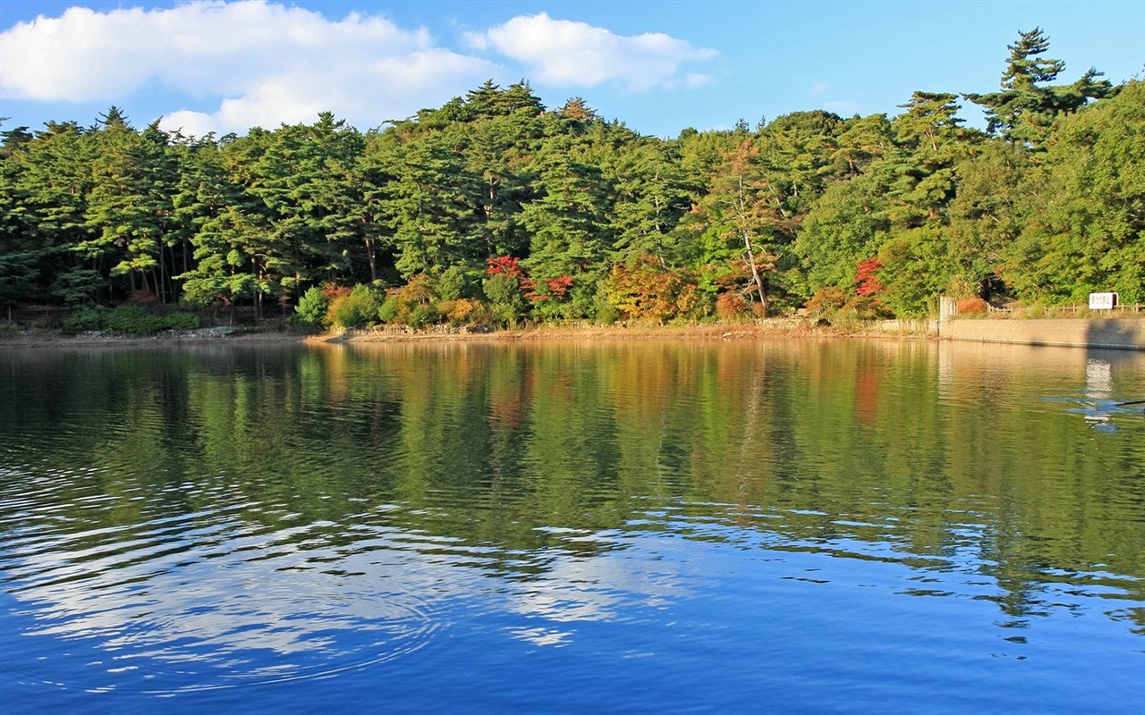 Japan Tour: Montañas Rokko hojas #30 - 1280x800