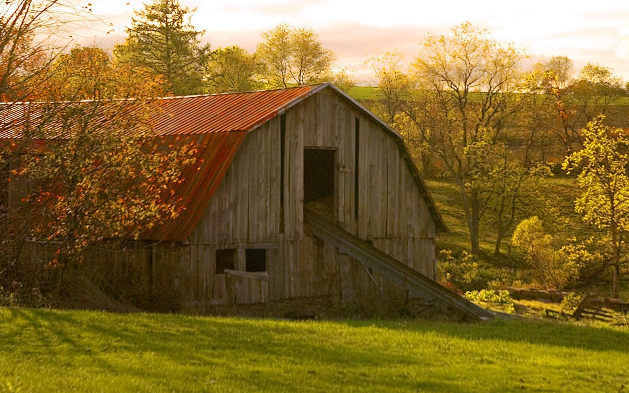 Fond d'écran épais décor de l'automne #1 - 1280x800