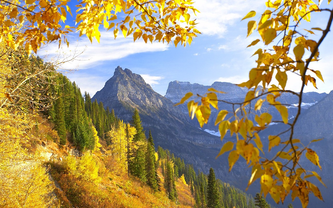 Dickes Herbstlandschaft Tapete #11 - 1280x800