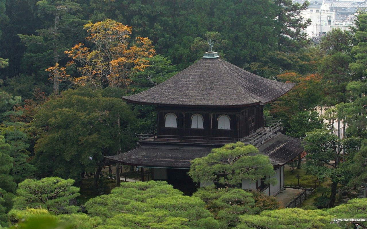 寧靜庭園 公園美景壁紙 #5 - 1280x800