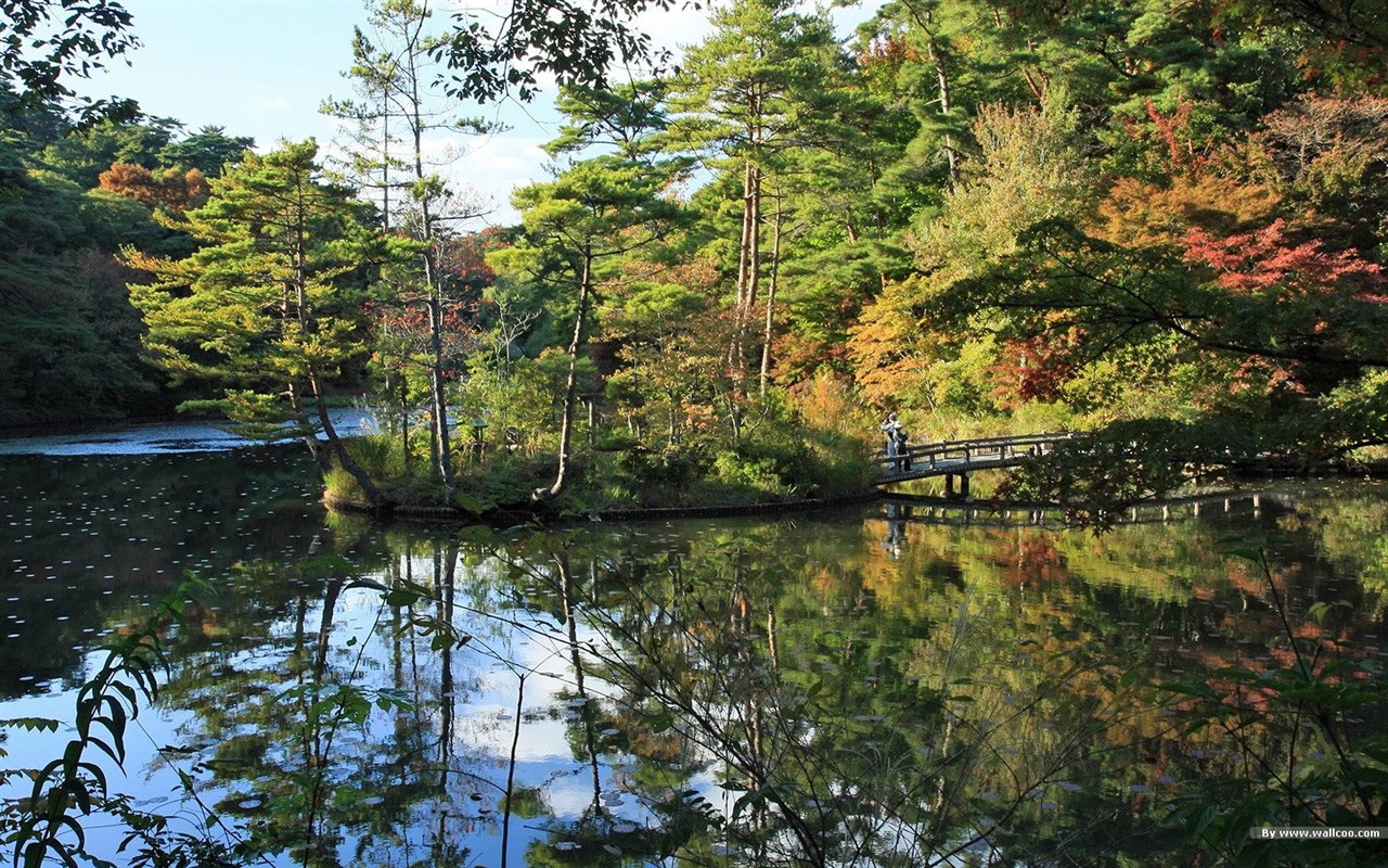 宁静庭园 公园美景壁纸30 - 1280x800