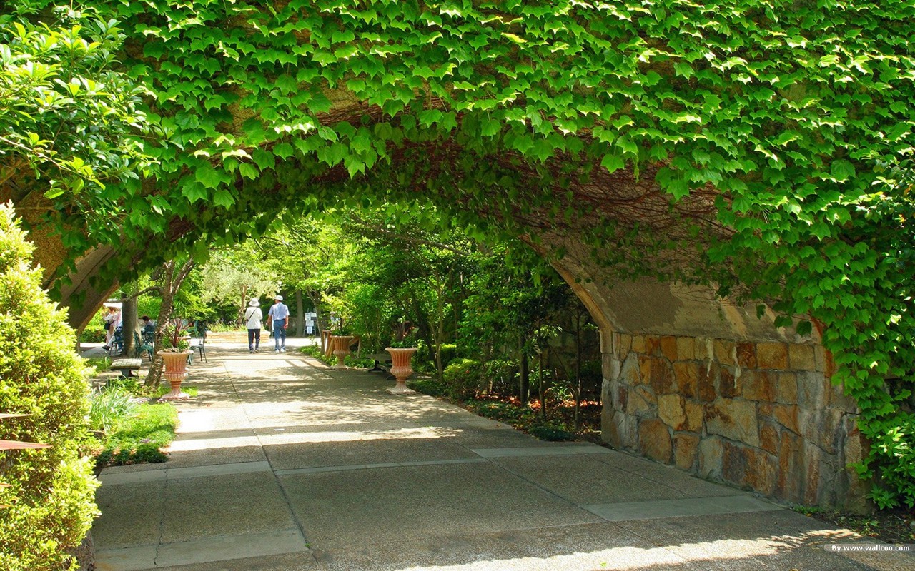 寧靜庭園 公園美景壁紙 #32 - 1280x800