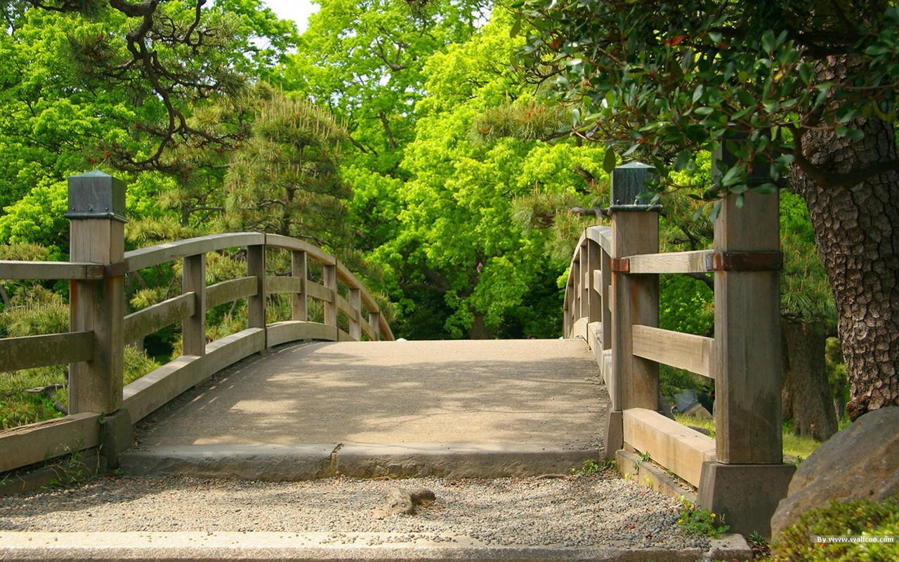 寧靜庭園 公園美景壁紙 #33 - 1280x800