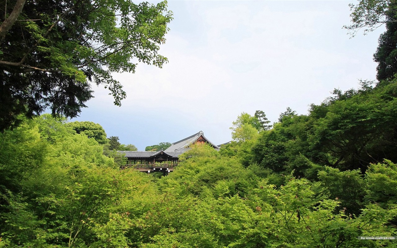 寧靜庭園 公園美景壁紙 #36 - 1280x800