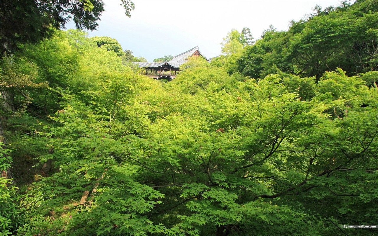 寧靜庭園 公園美景壁紙 #37 - 1280x800