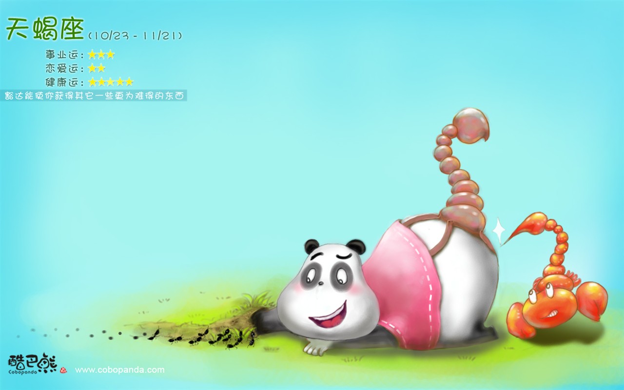 可愛酷巴熊壁紙 #9 - 1280x800