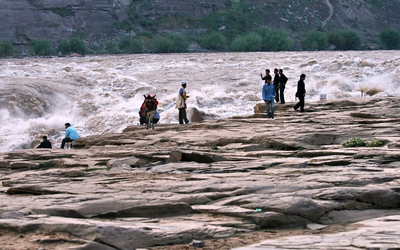 Neustále proudící Žlutá řeka - Hukou Waterfall cestovních poznámek (Minghu Metasequoia práce) #13 - 1280x800