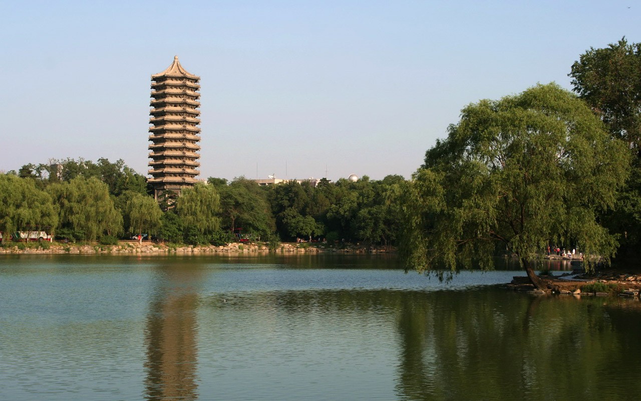 letmý pohled na Peking University (Minghu Metasequoia práce) #5 - 1280x800