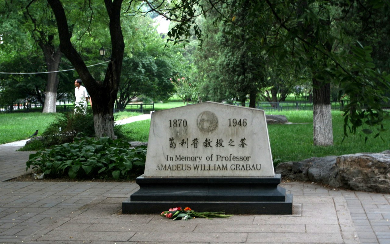 Glimpse of Peking University (Minghu Metasequoia works) #6 - 1280x800