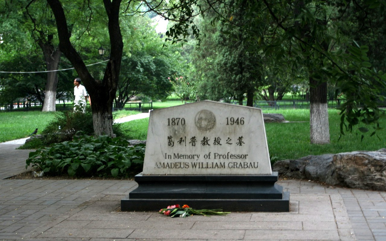 letmý pohled na Peking University (Minghu Metasequoia práce) #6 - 1280x800