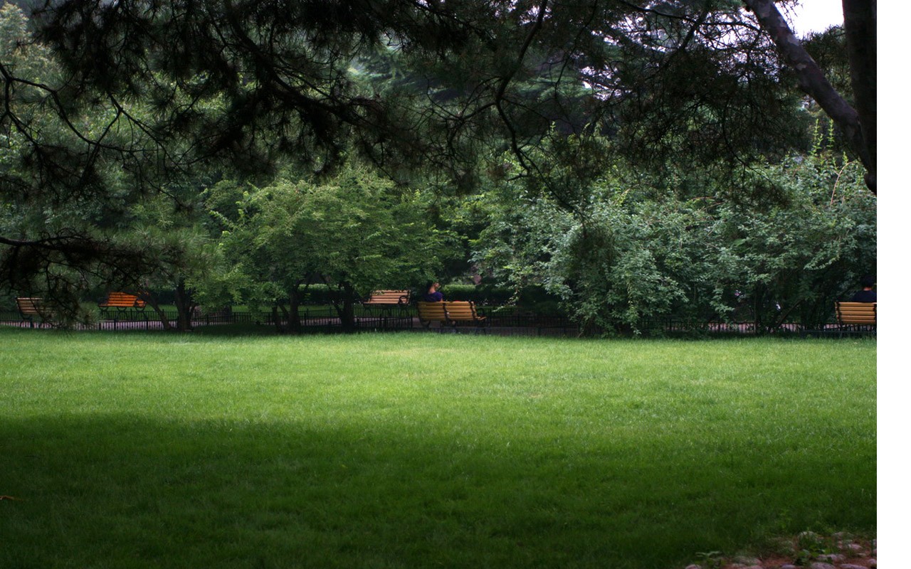 letmý pohled na Peking University (Minghu Metasequoia práce) #10 - 1280x800