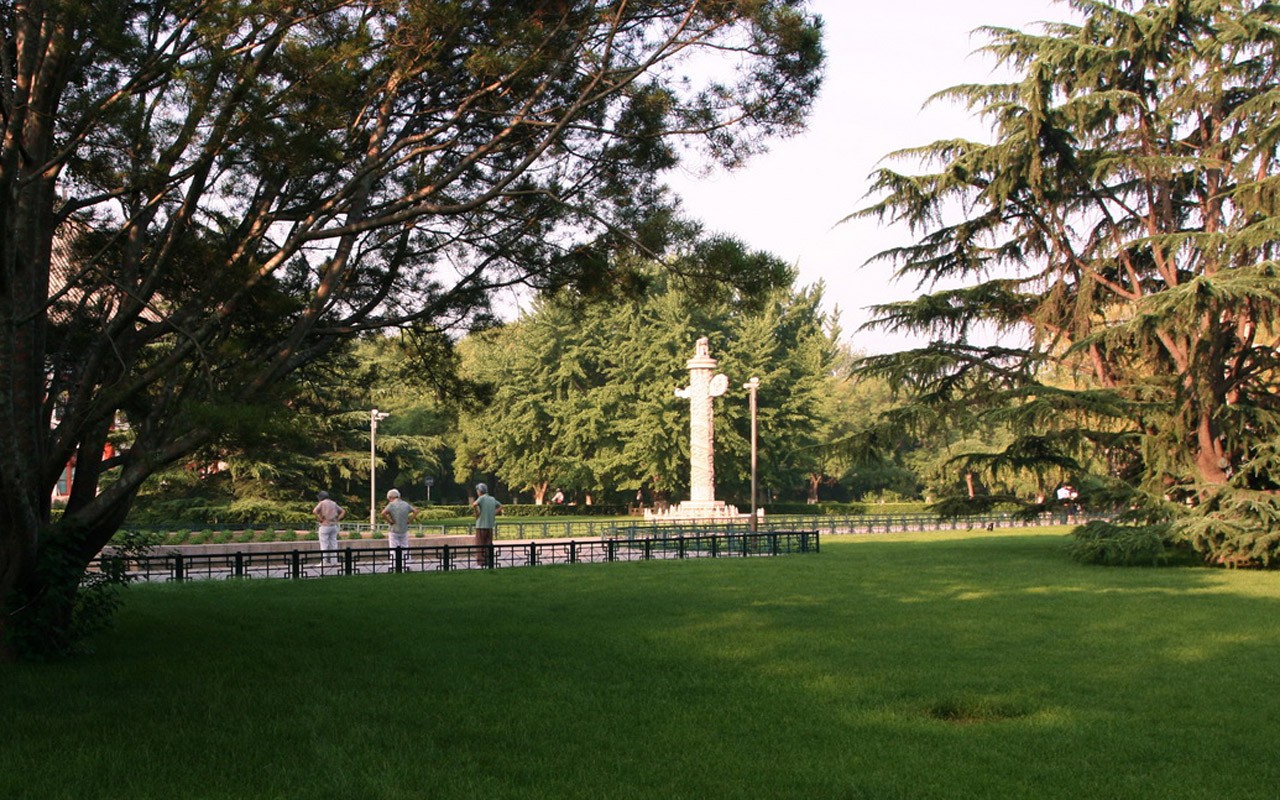 Glimpse of Peking University (Minghu Metasequoia works) #20 - 1280x800