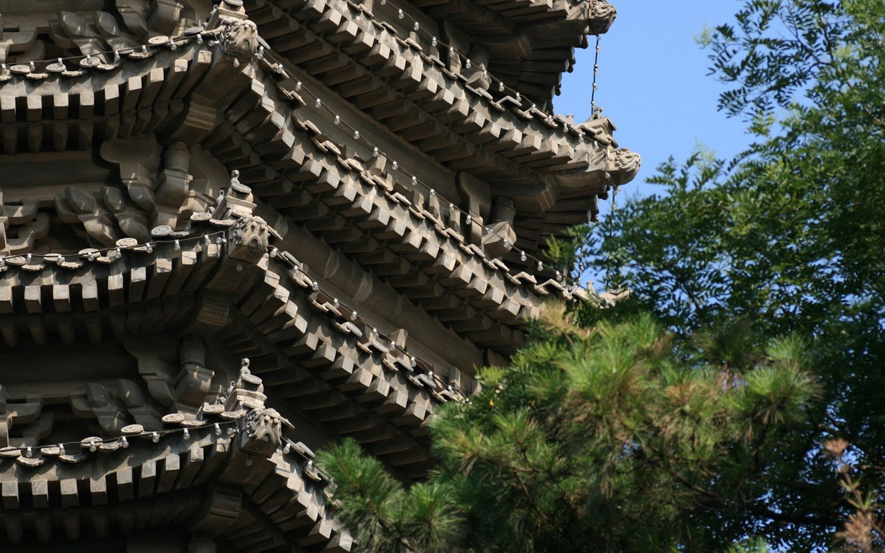 Glimpse of Peking University (Minghu Metasequoia works) #22 - 1280x800