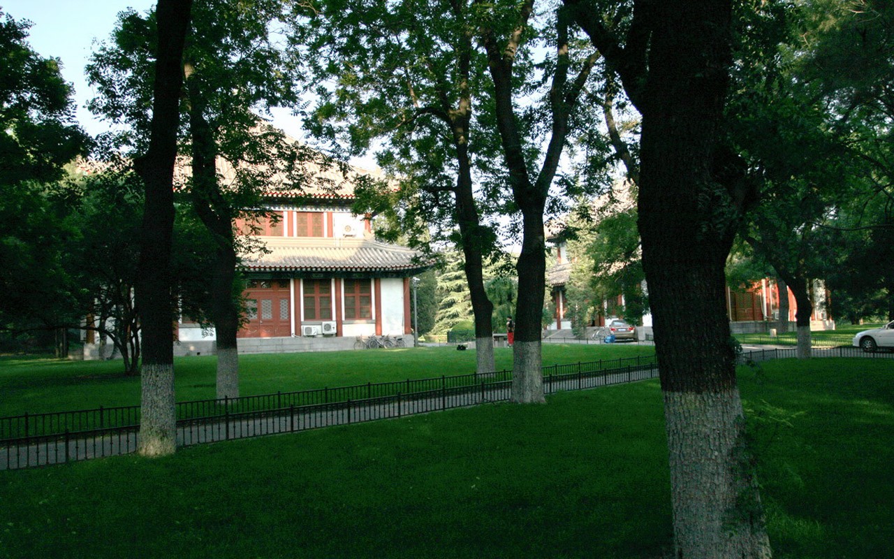 letmý pohled na Peking University (Minghu Metasequoia práce) #23 - 1280x800