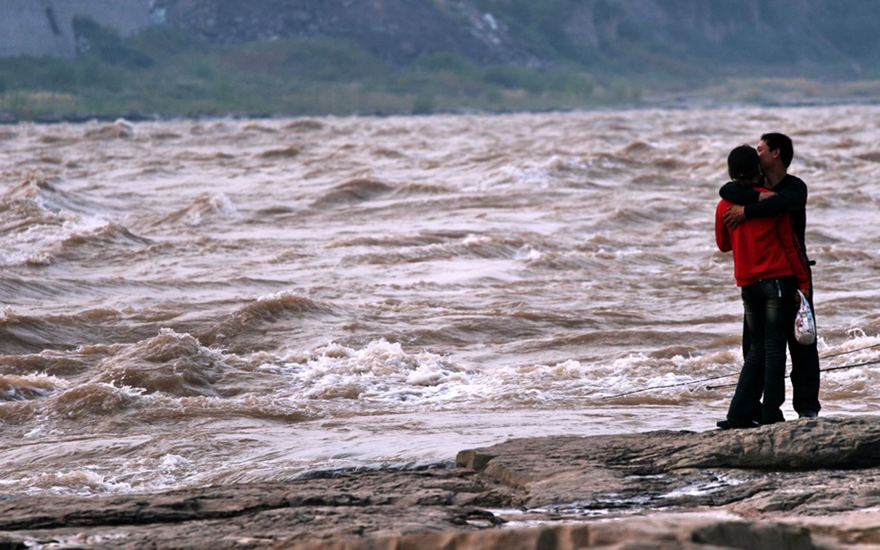 Kontinuierlich fließenden Yellow River - Hukou Waterfall Travel Notes (Minghu Metasequoia Werke) #9 - 1280x800