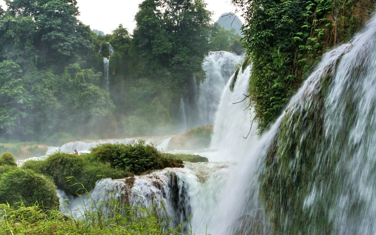 Detian Falls (Minghu Metasequoia práce) #12 - 1280x800