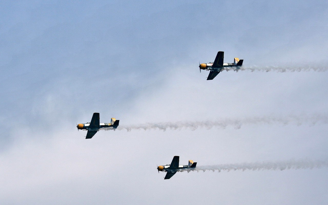 International Air Sports Festival Pohled (Minghu Metasequoia práce) #4 - 1280x800