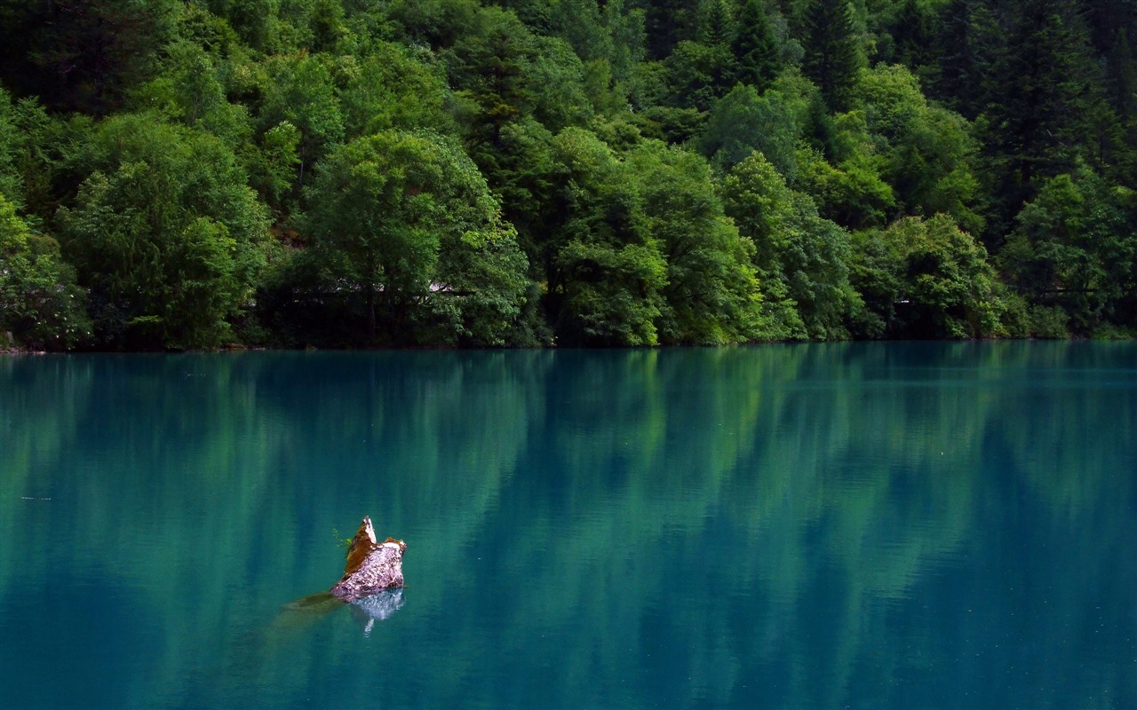 Aba sběru lidových písní (1) (červi každý den práce) #30 - 1280x800