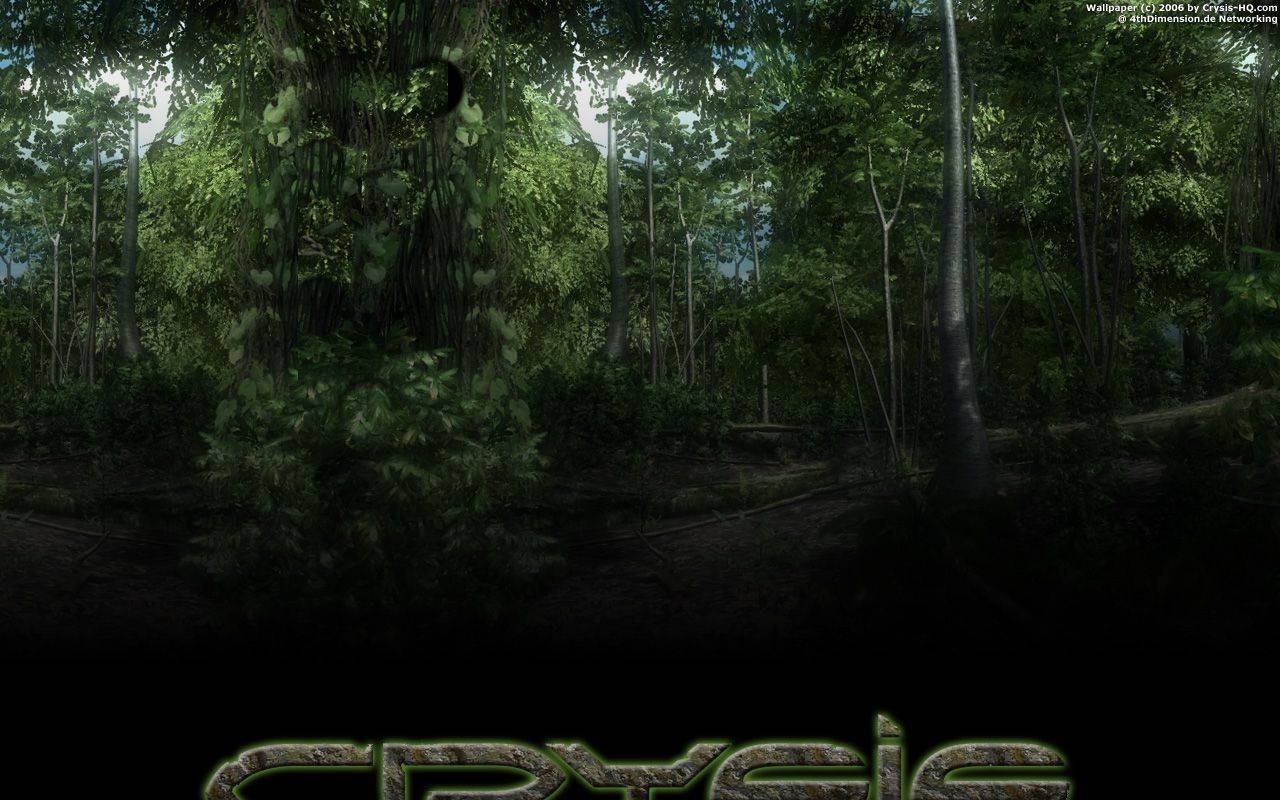Crysis 孤島危機壁紙(一) #9 - 1280x800