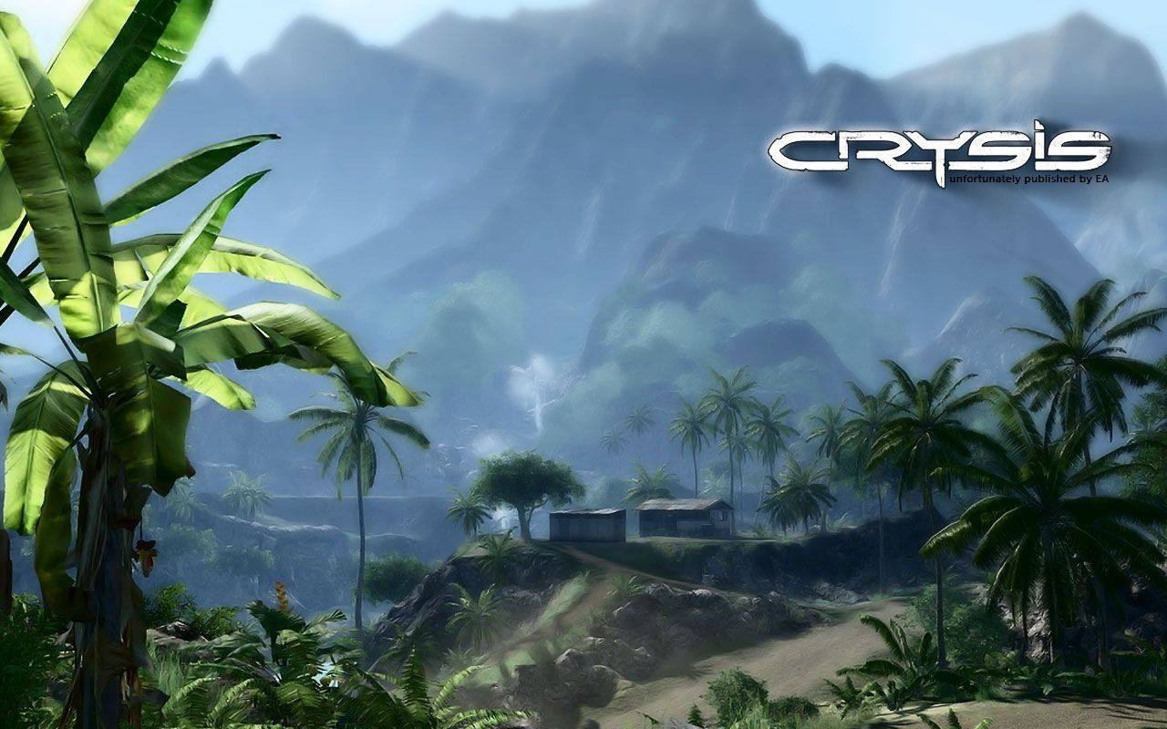 Crysis 孤島危機壁紙(一) #17 - 1280x800