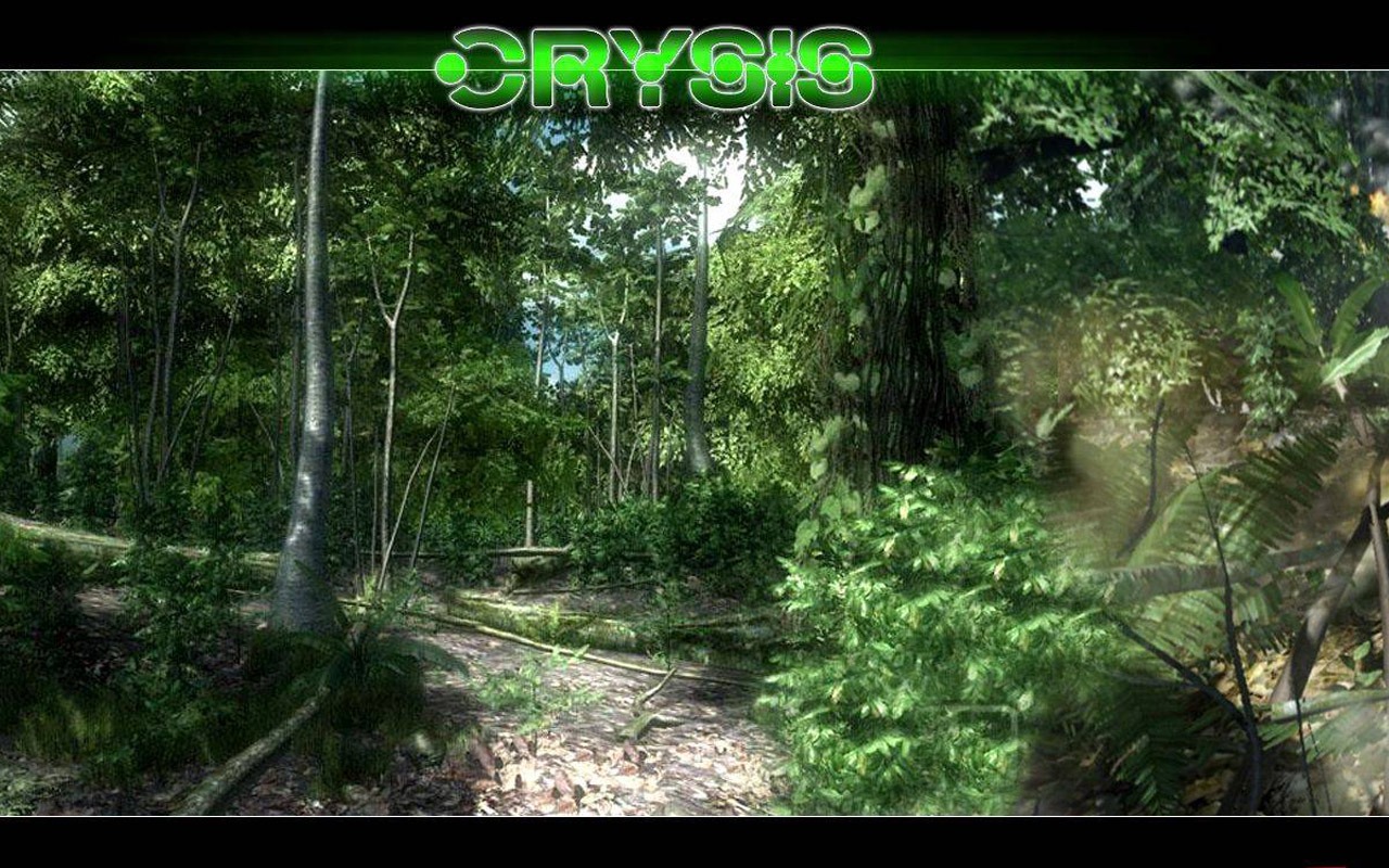 Crysis 孤島危機壁紙(一) #24 - 1280x800