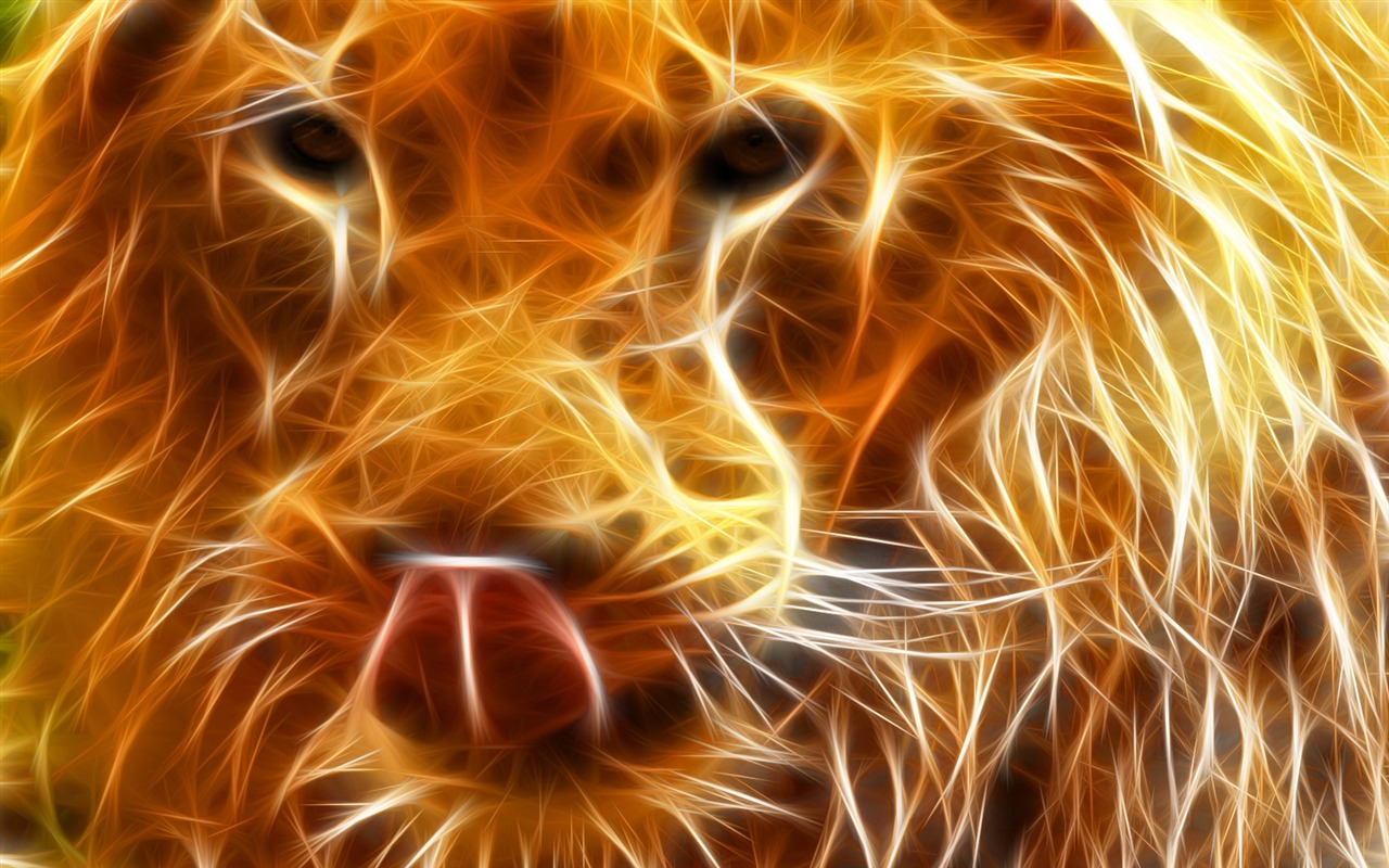 Cool animal wallpaper light #13 - 1280x800