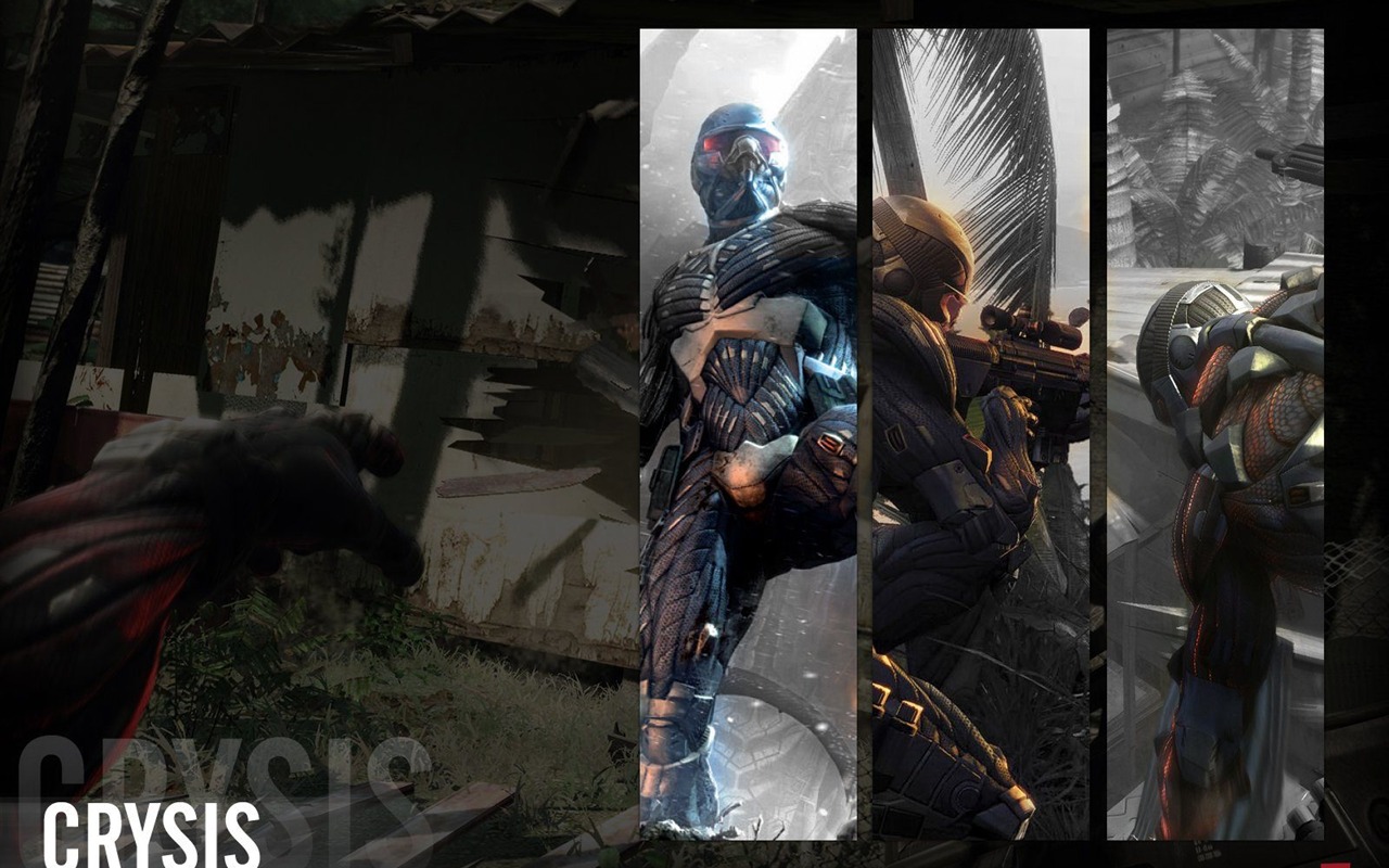 Crysis 孤島危機壁紙(二) #17 - 1280x800