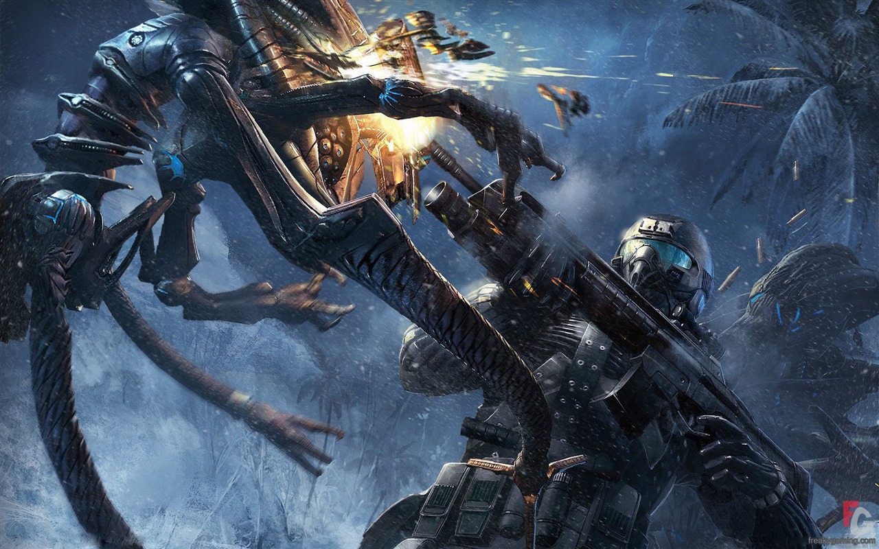 Crysis 孤島危機壁紙(三) #18 - 1280x800