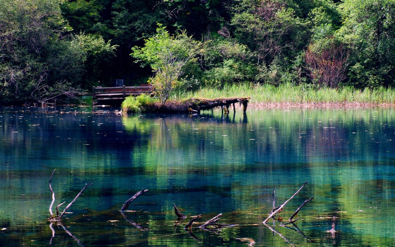 Aba sběru lidových písní (2) (červi každý den práce) #11 - 1280x800