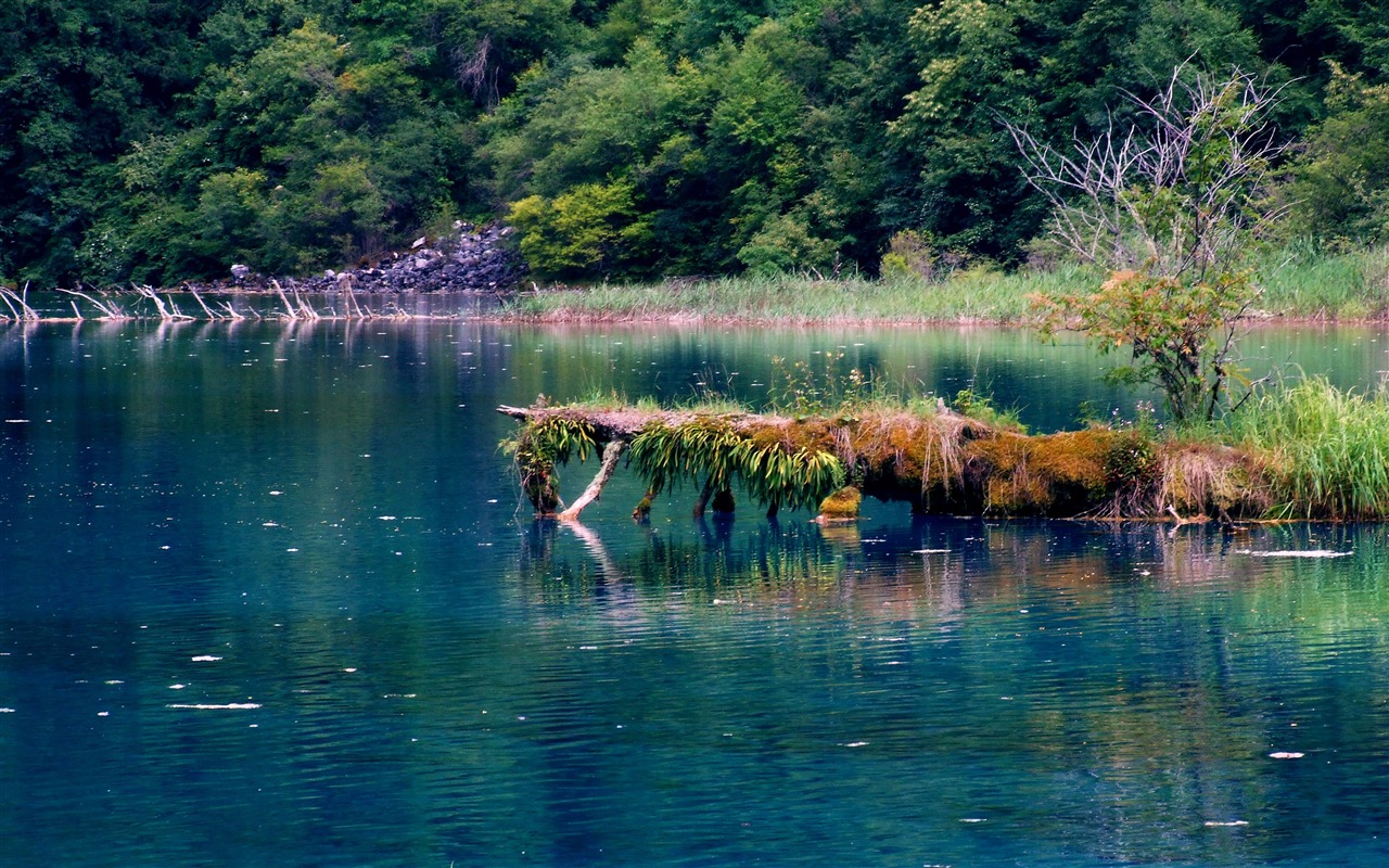 Aba sběru lidových písní (2) (červi každý den práce) #18 - 1280x800