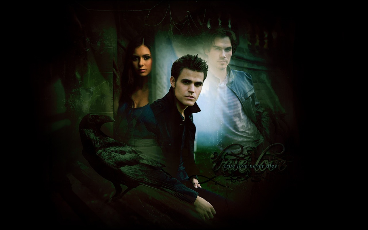 The Vampire Diaries 吸血鬼日記 #24 - 1280x800