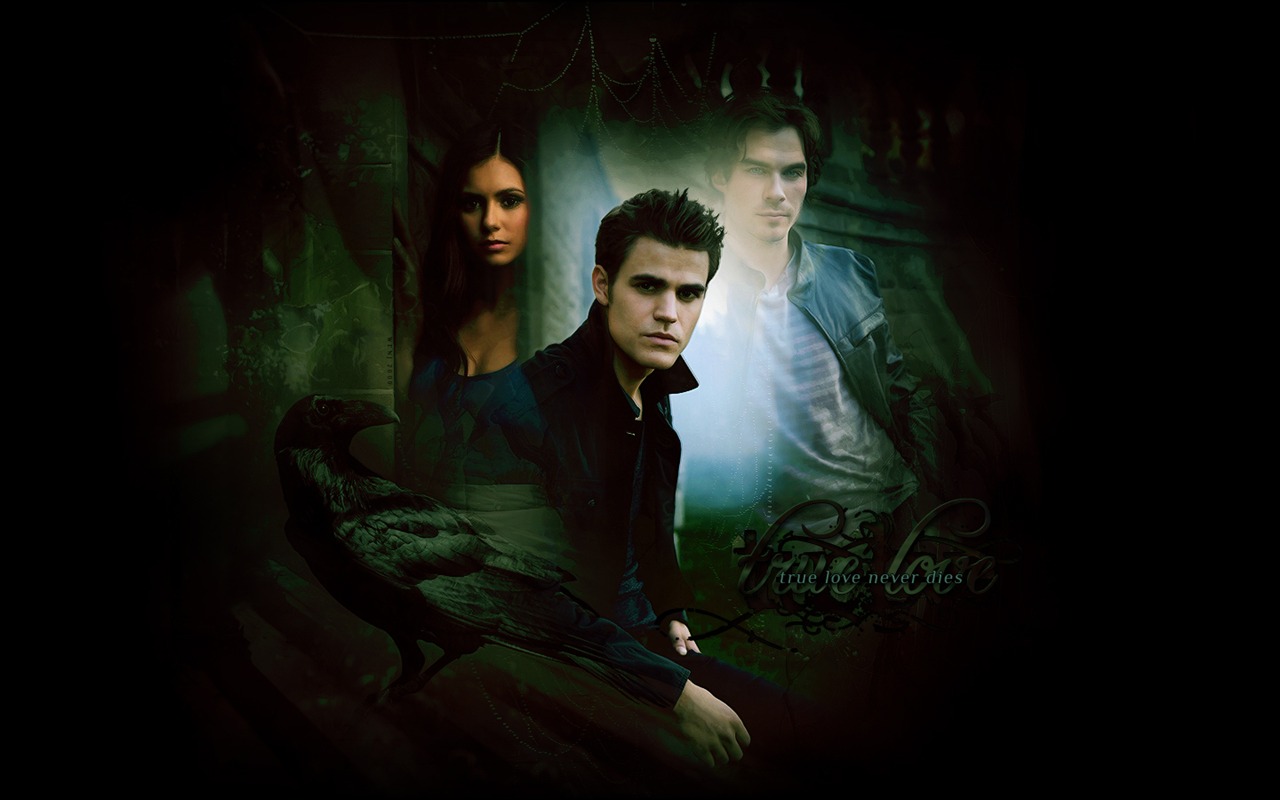 The Vampire Diaries Tapete #24 - 1280x800