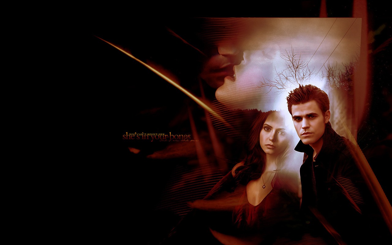 The Vampire Diaries 吸血鬼日记30 - 1280x800