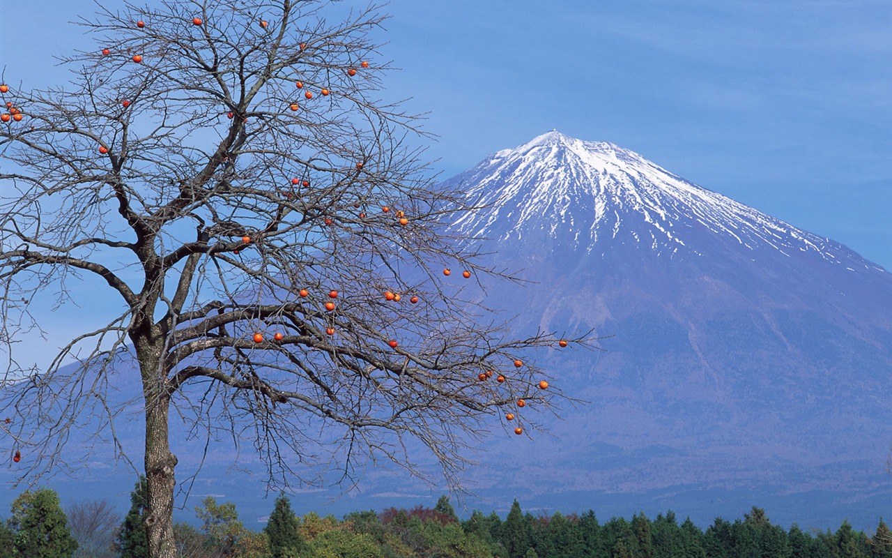 富士山风光壁纸专辑26 - 1280x800