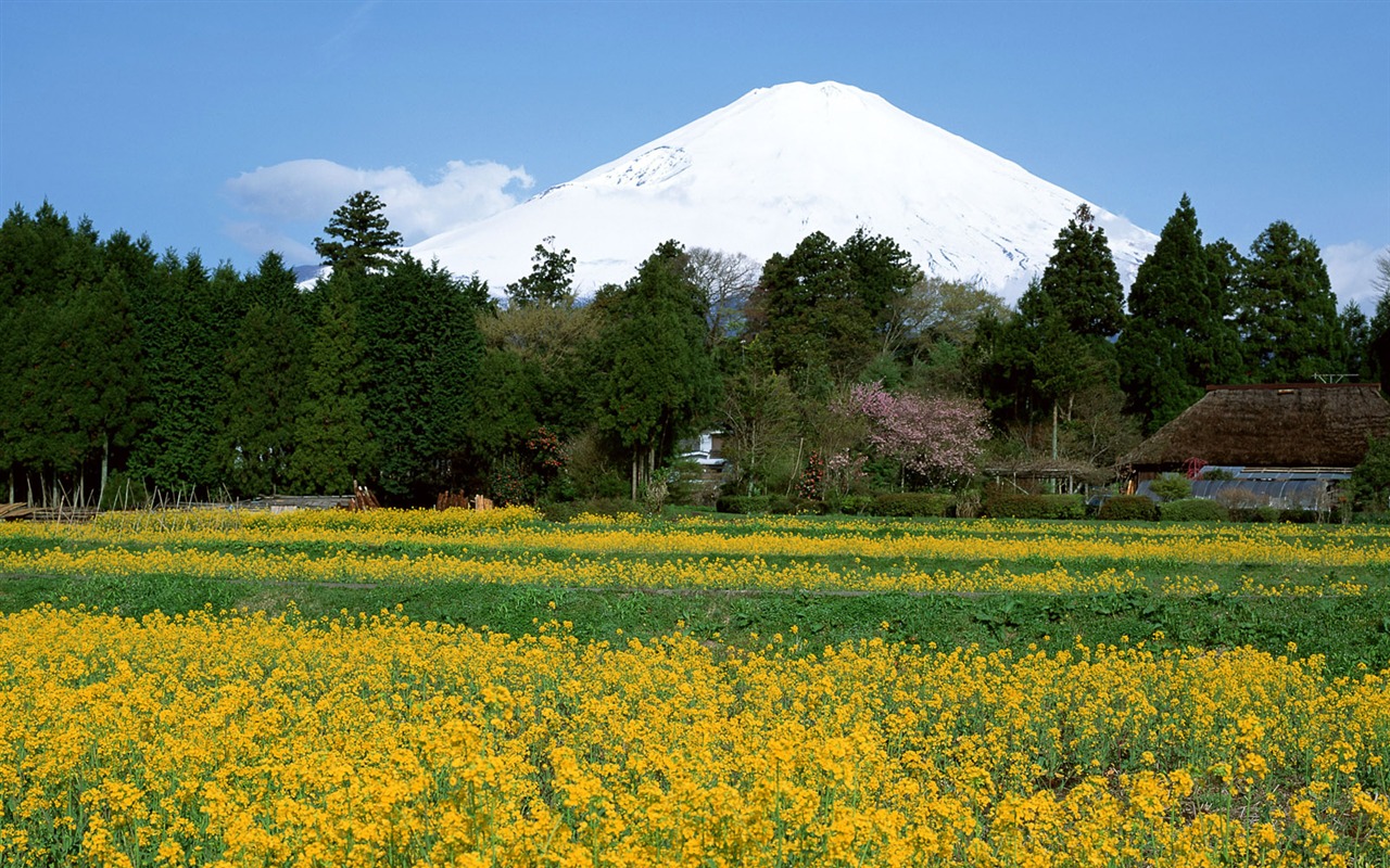 富士山风光壁纸专辑36 - 1280x800