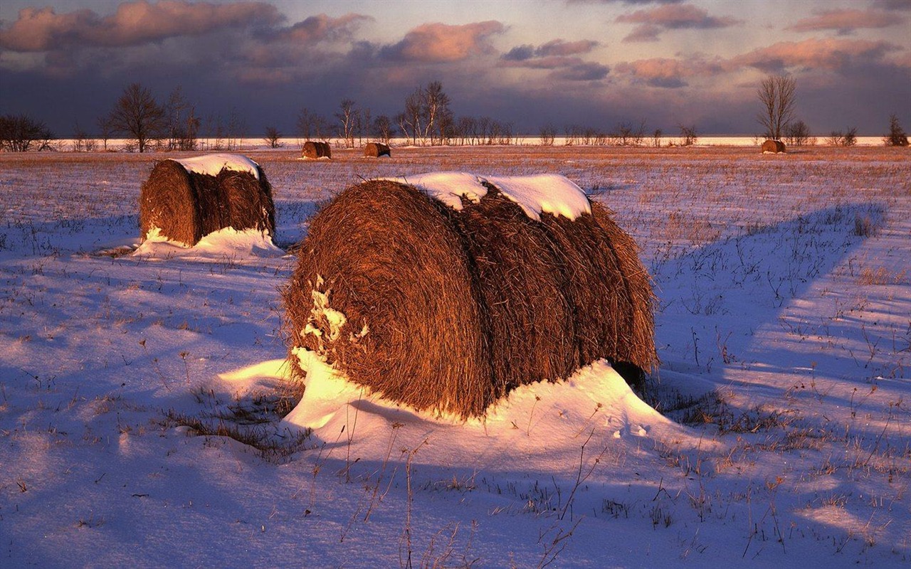 Překrásná příroda v HD Tapety na plochu #18 - 1280x800