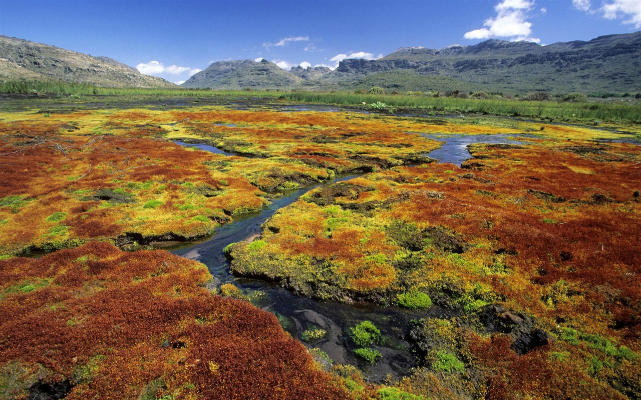 Four Seasons Landscape wallpaper (1) #19 - 1280x800