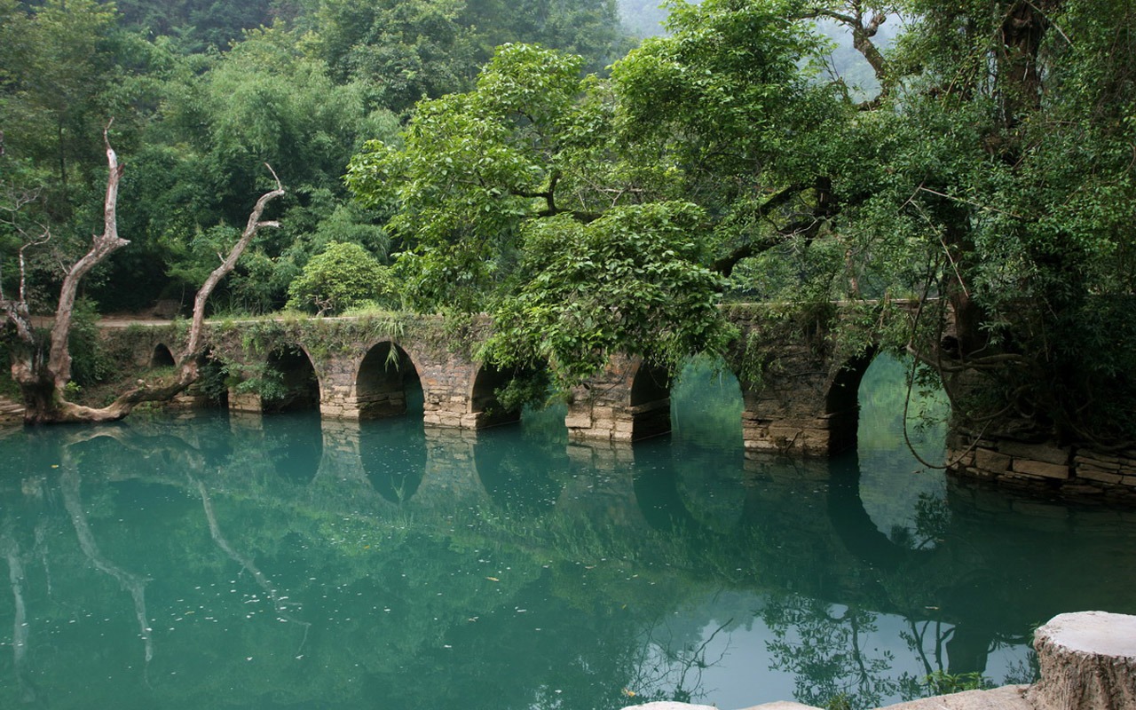 天下美景 - 荔波樟江 (明湖水杉作品)12 - 1280x800