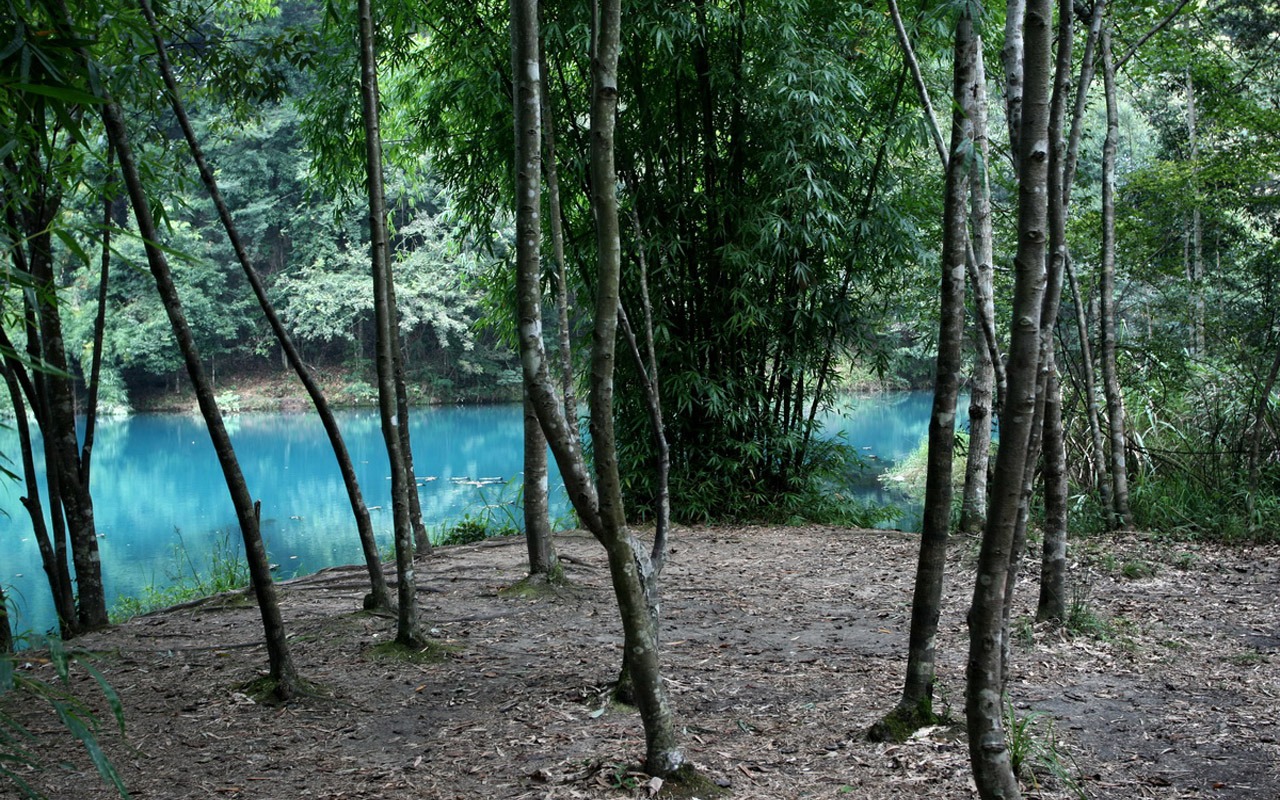 天下美景 - 荔波樟江 (明湖水杉作品)17 - 1280x800