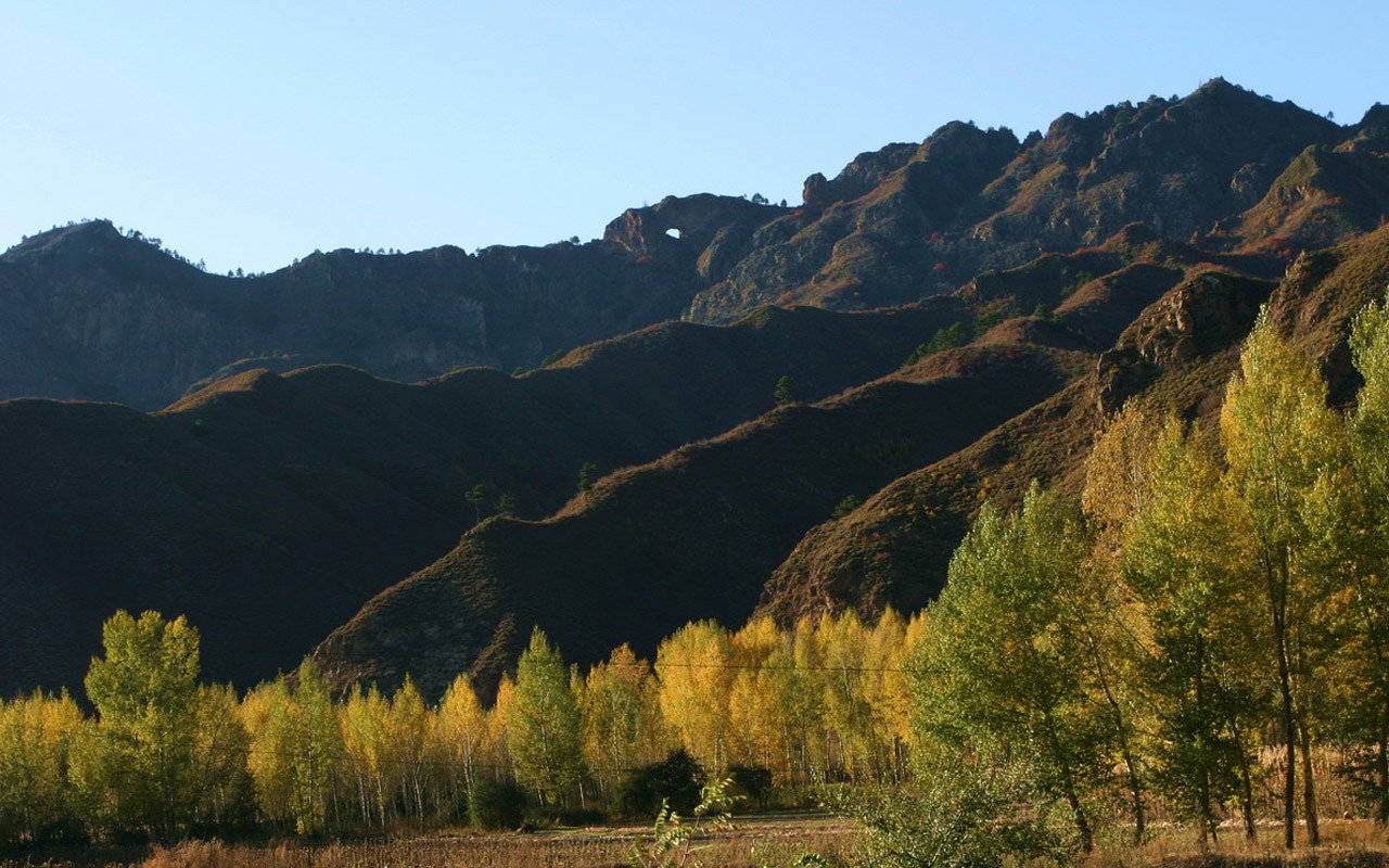 Paddock Saihanba (Minghu Metasequoia works) #3 - 1280x800