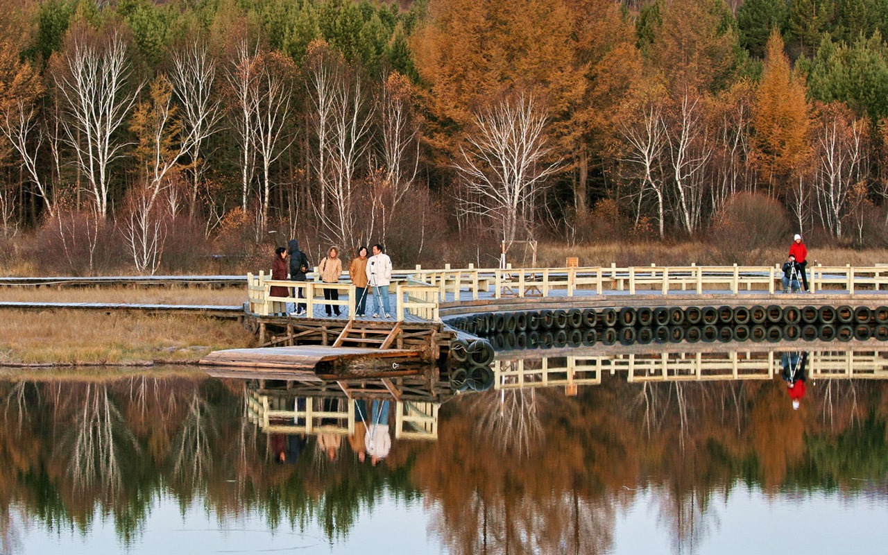 Paddock Saihanba (Minghu Metasequoia works) #5 - 1280x800