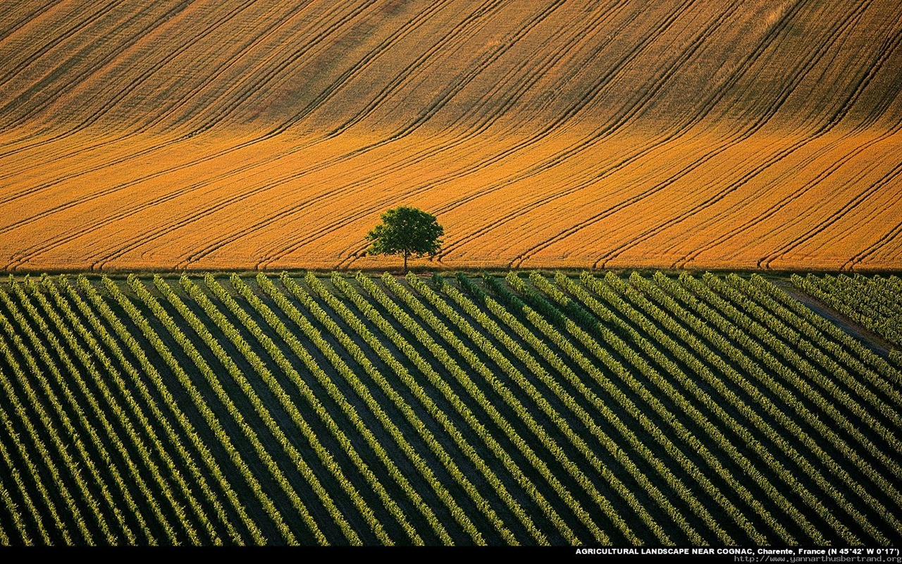 Letecké fotografie zázraky na plochu #17 - 1280x800