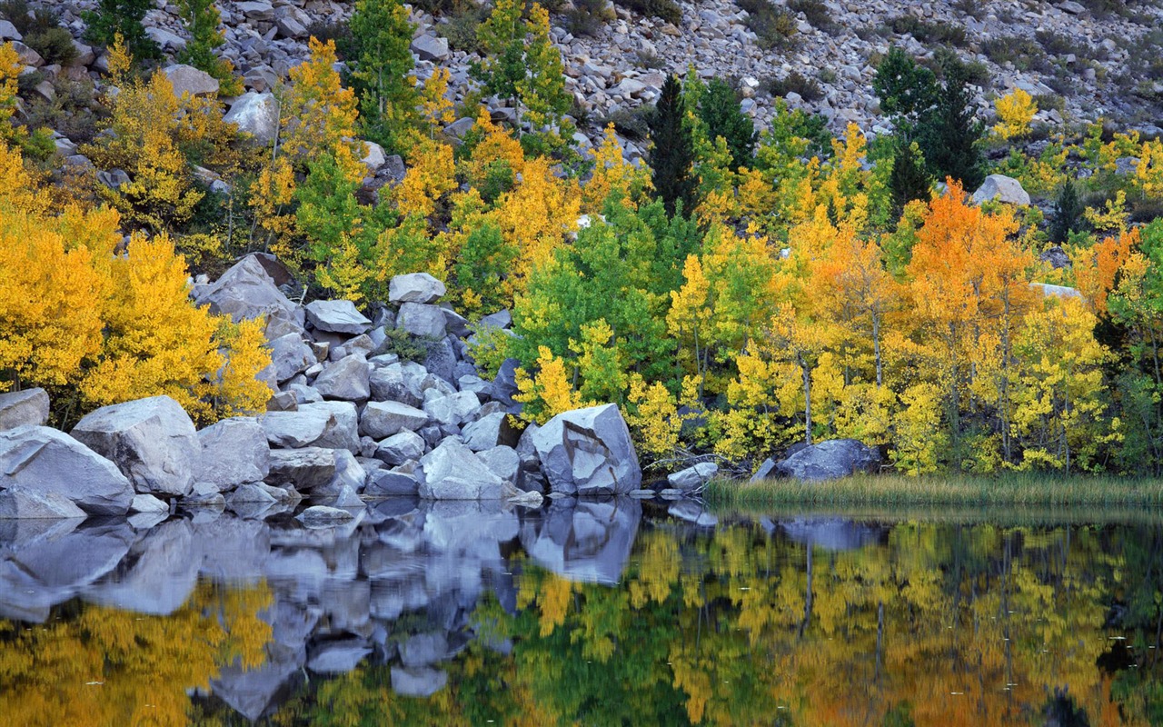 Four Seasons Landscape wallpaper (2) #11 - 1280x800